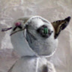 Meet your Posher, Sar